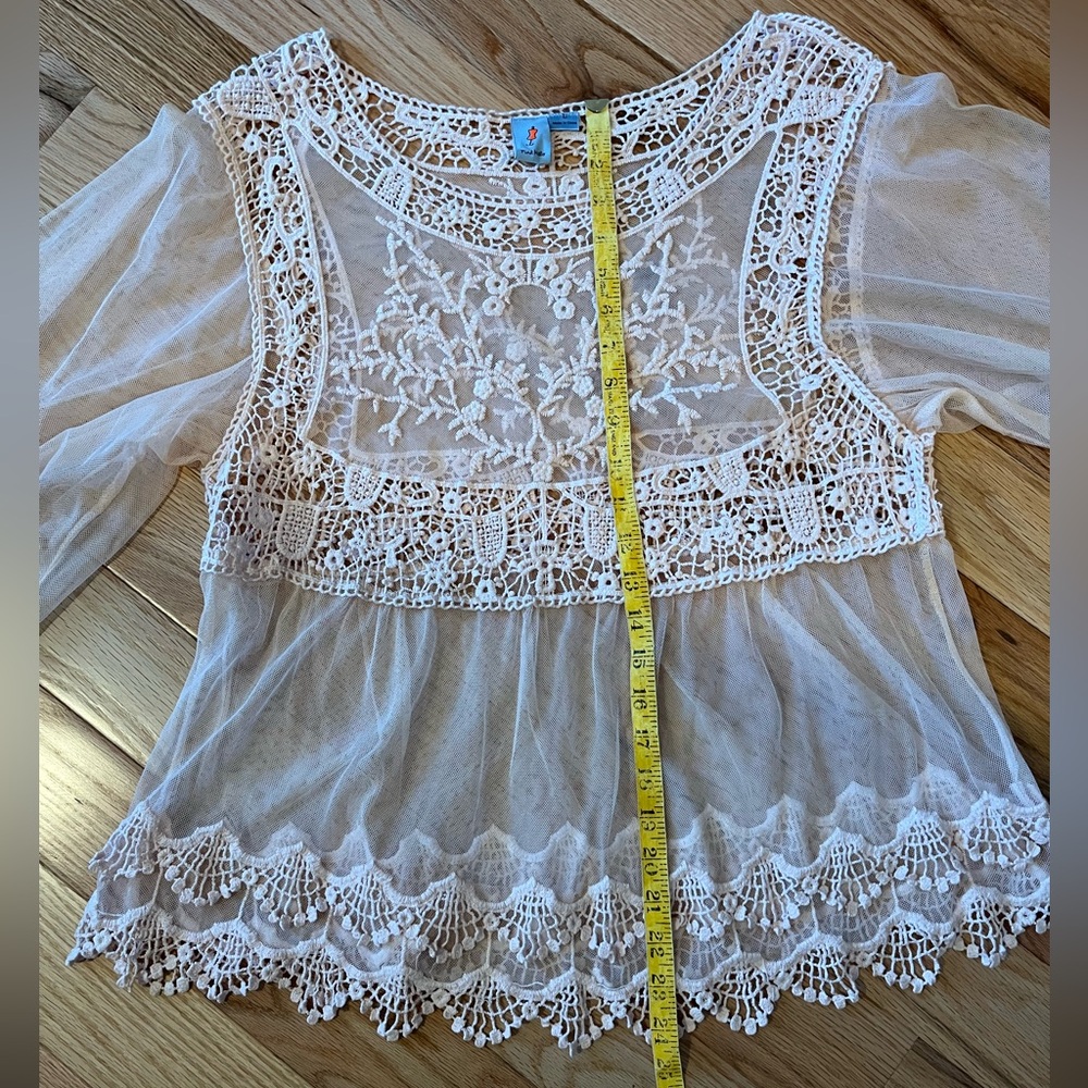 Pink Melo Sheer Embroidered Lace Peasant Top - Blush - Picture 7 of 10